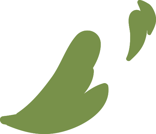 图片[6]-胸襟万里 饮古流长 |《辽宁书法史》研讨会在沈阳召开-东北文化产业网