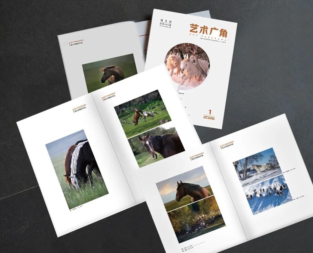 图片[1]-以光影为鞍 赴马年新章-东北文化产业网