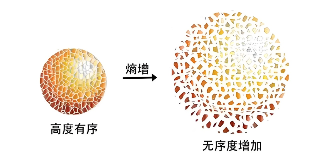 图片[4]-直击2026: 挑战与机遇-东北文化产业网