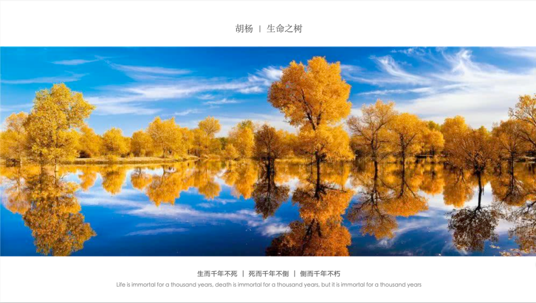 图片[19]-直击2026: 挑战与机遇-东北文化产业网