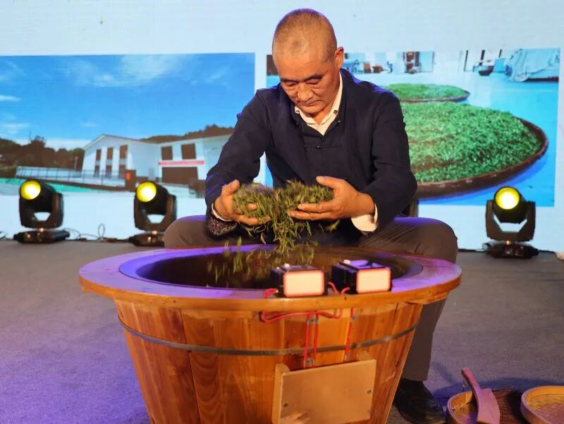 匠心制茶守初心 陕硒茗香耀盛京——制茶工匠王春久携安康好茶亮相沈阳茶博会！-东北文化产业网